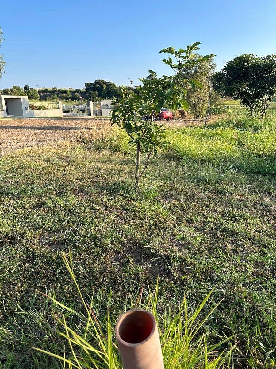 Land for Sale in Santa Sofía Golf Club, photo 1 of 16