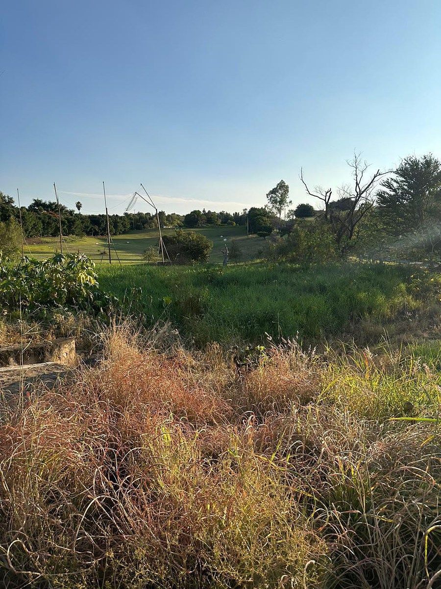 Lot in El Arenal, El Arenal, photo 13 of 16