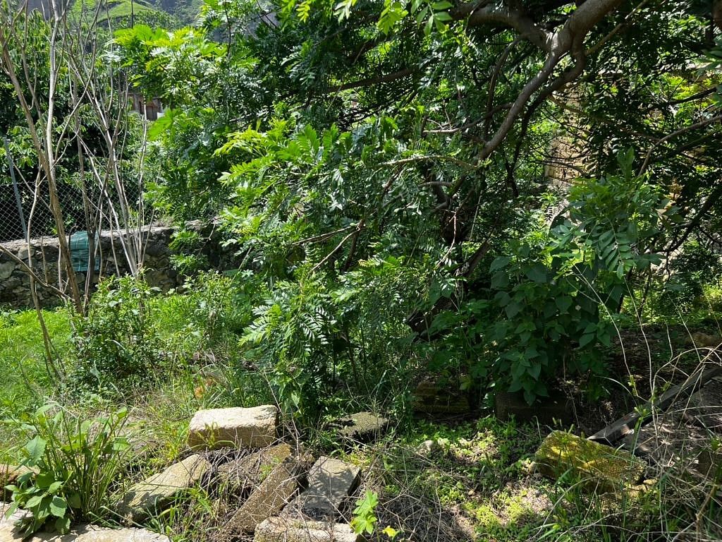 Casa em La Cañada, Totolapan, foto 18 de 21