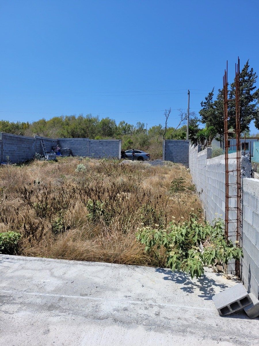 Lote em Montemorelos Centro, Montemorelos, foto 4 de 14