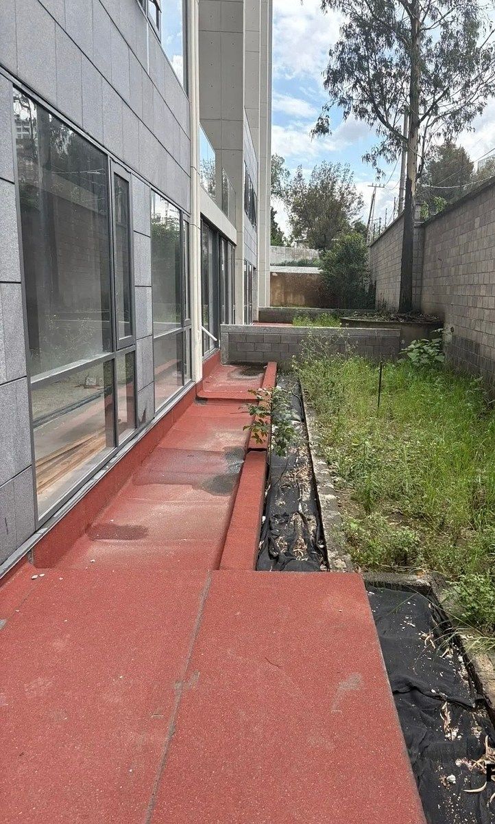 Departamento en Lomas de Bezares, Miguel Hidalgo, foto 6 de 34