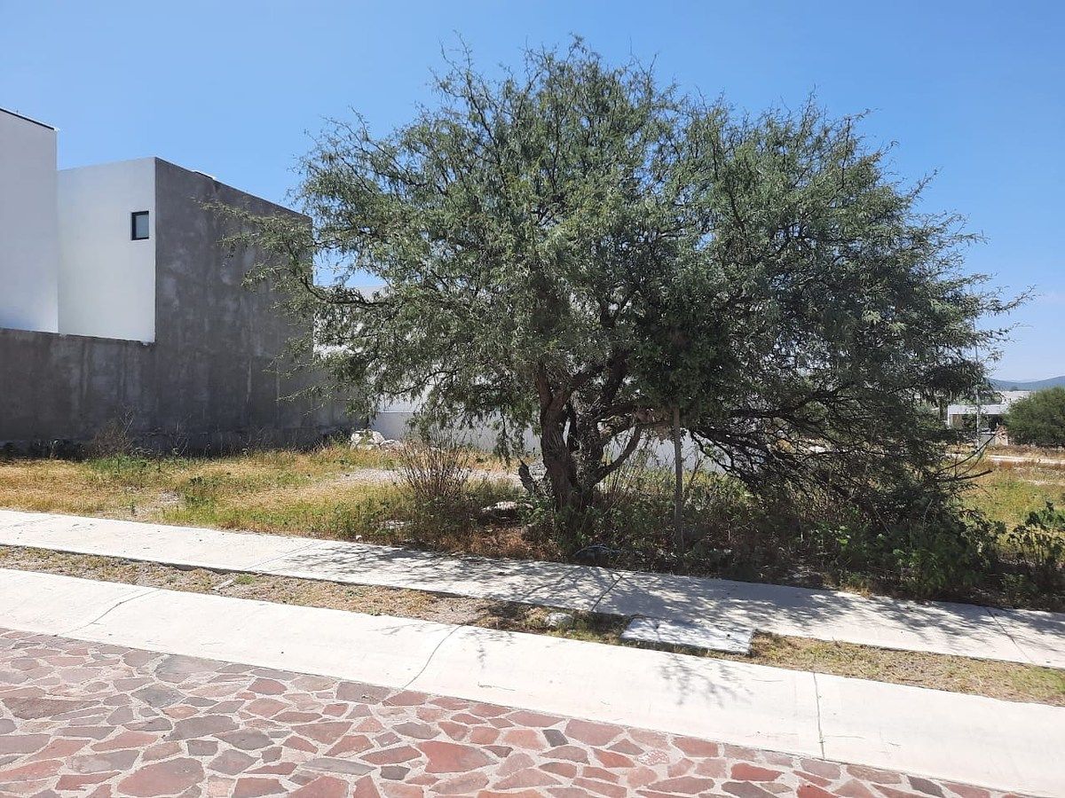 Lote em El Encino, Huimilpan, foto 4 de 8