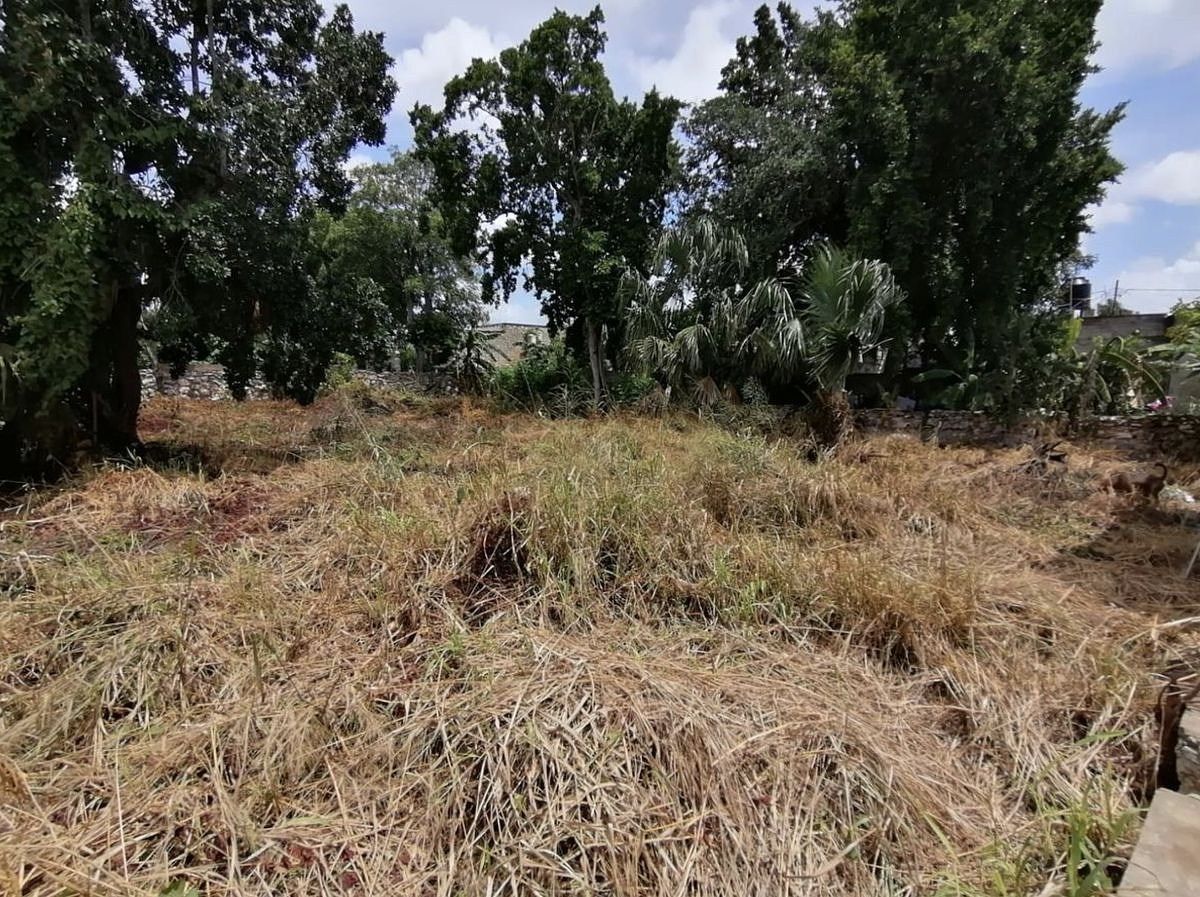 Lote em Mérida Centro, Mérida, foto 2 de 10