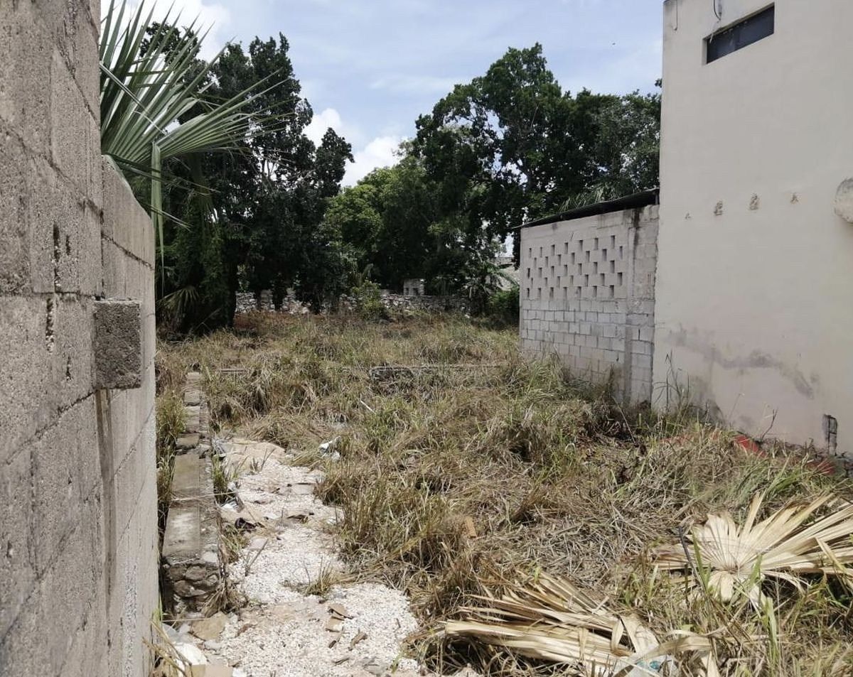Lote em Mérida Centro, Mérida, foto 7 de 10