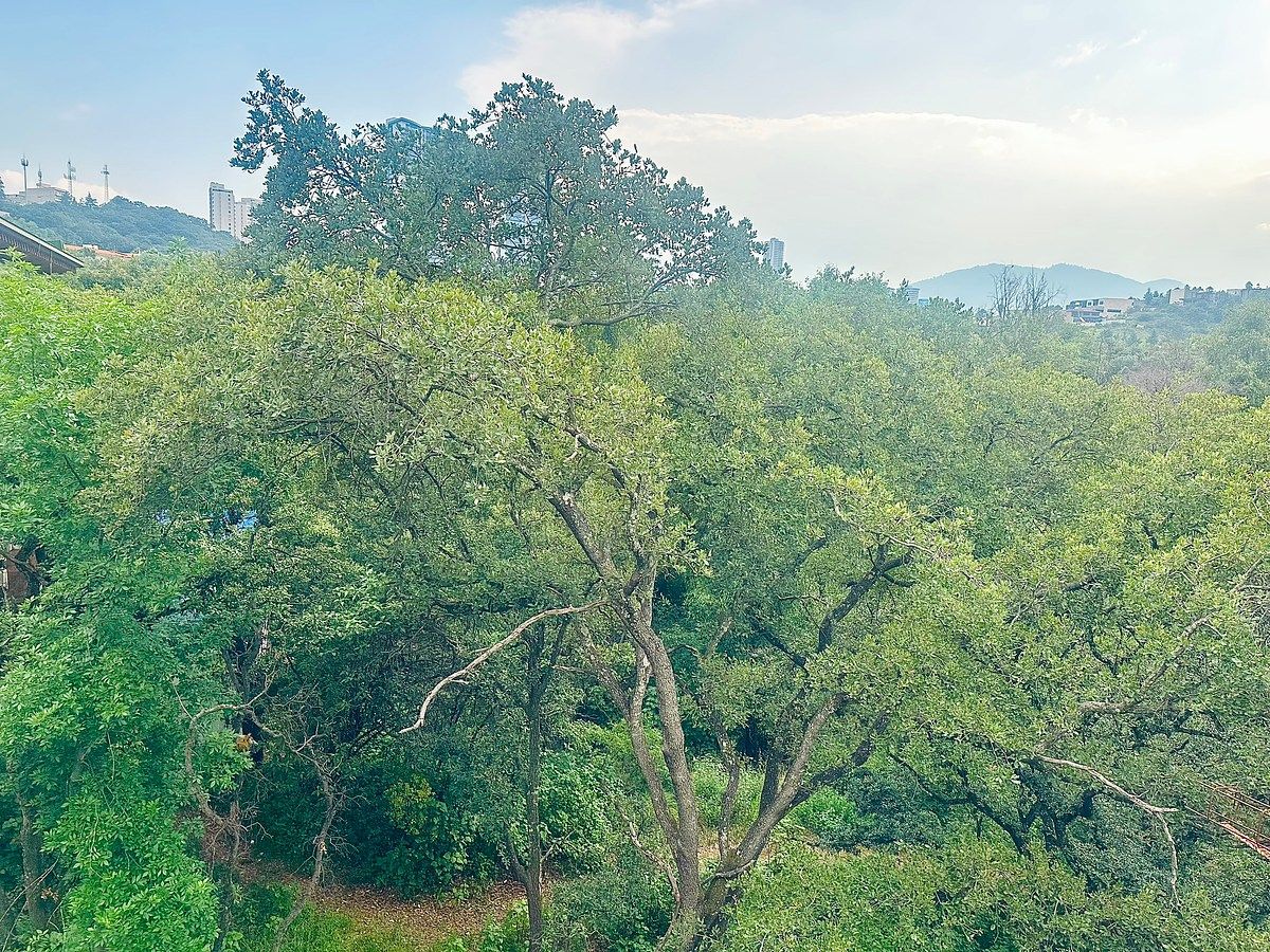 House in Gated Community in Bosque Real, Huixquilucan, photo 5 of 5