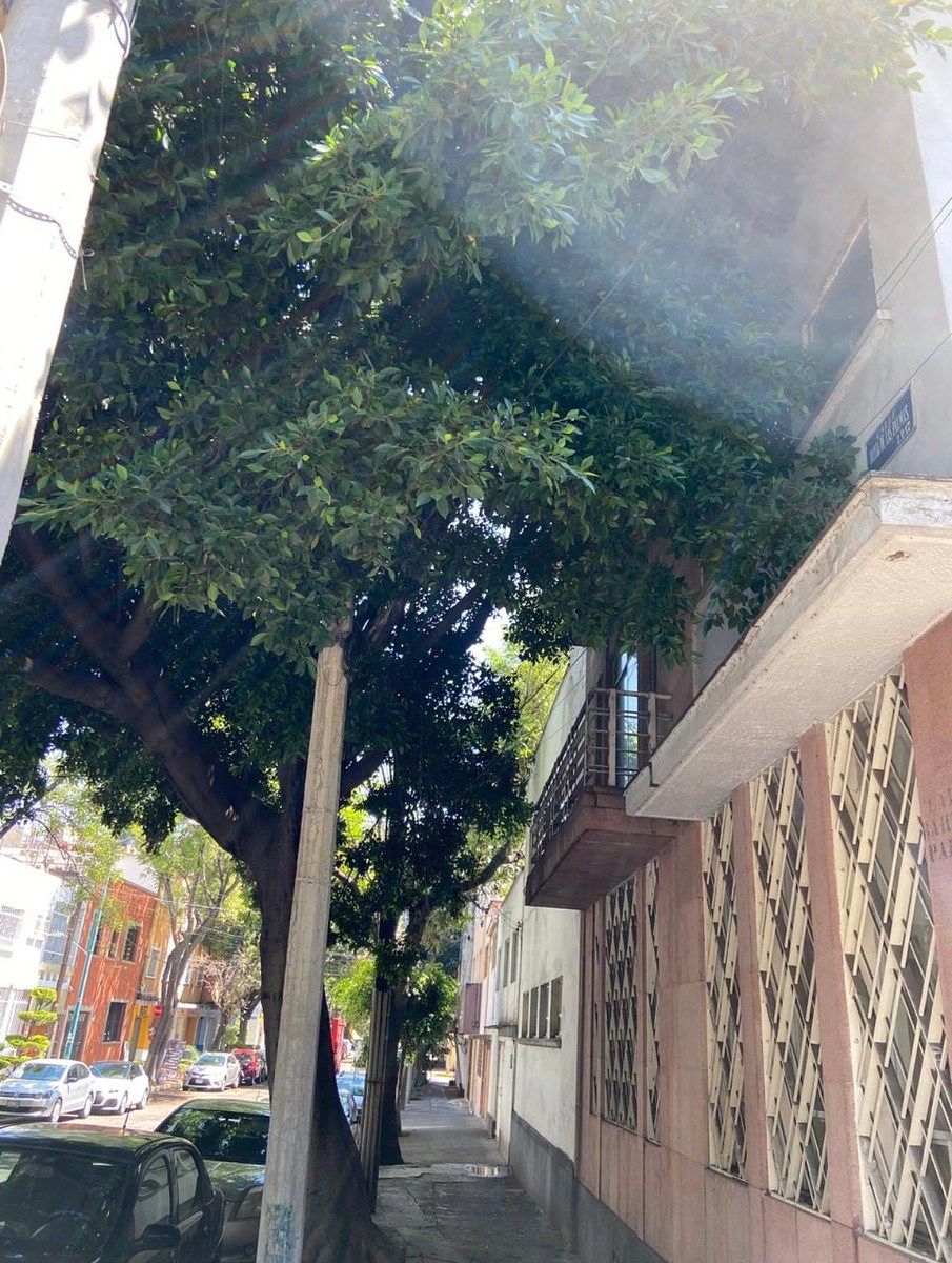 Casa con uso de suelo en Veronica Anzures, Miguel Hidalgo, foto 5 de 7
