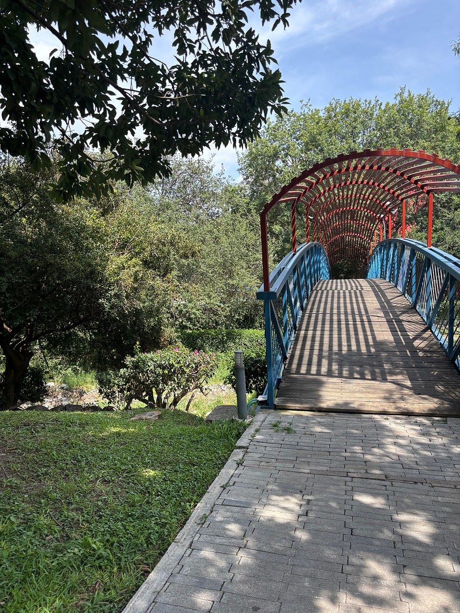 Casa en Rincón de Sierra Alta, Monterrey, foto 17 de 18