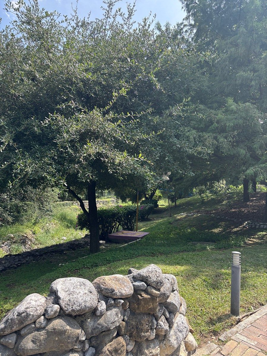 Casa en Rincón de Sierra Alta, Monterrey, foto 18 de 18