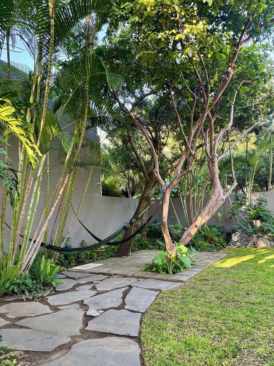 House in Arcos Vallarta, Guadalajara, photo 4 of 45
