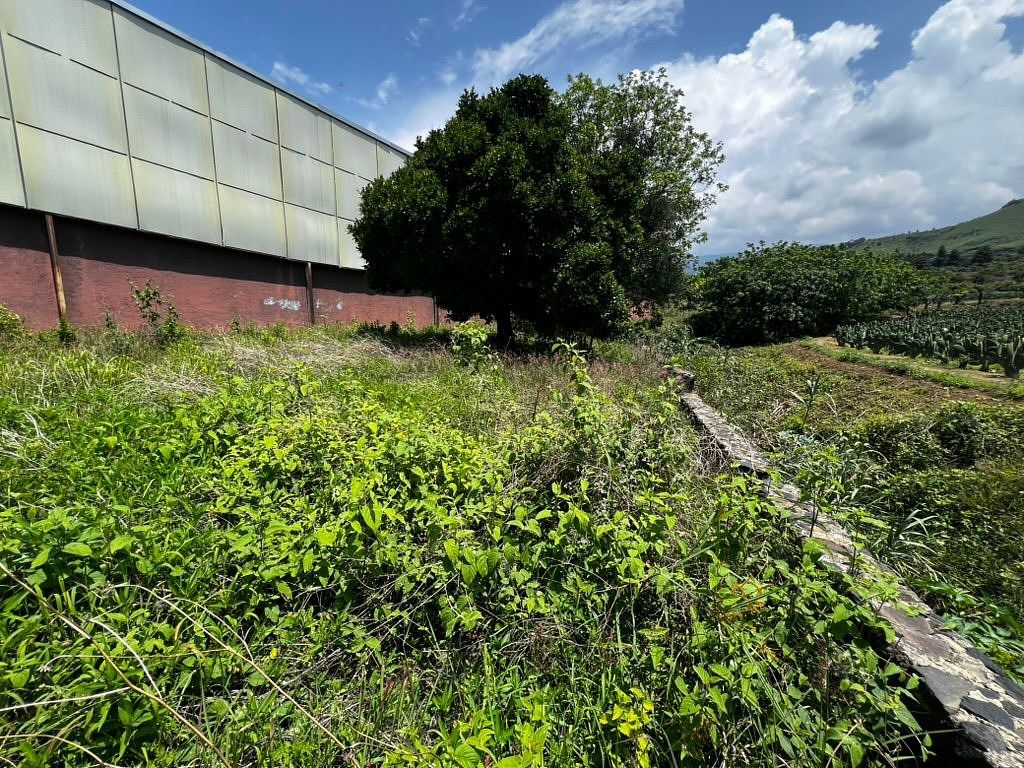 Galpão comercial em La Cañada, Totolapan, foto 11 de 25