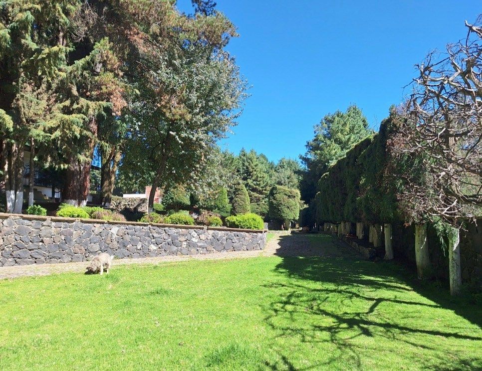 Fazenda em Santo Tomas Ajusco, Tlalpan, foto 2 de 27