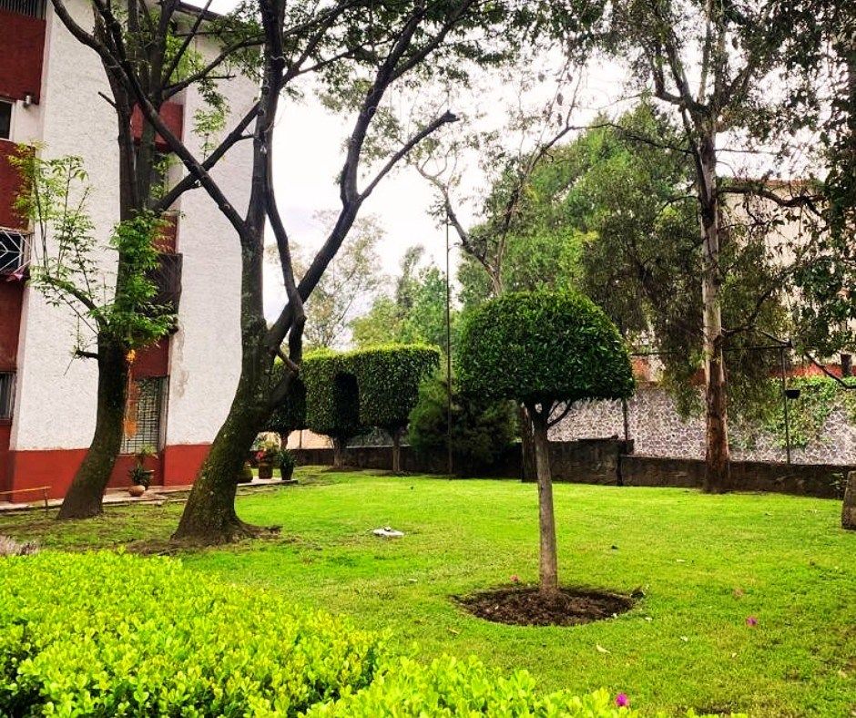 Departamento en Ampliación Fuentes del Pedregal, Tlalpan, foto 8 de 9