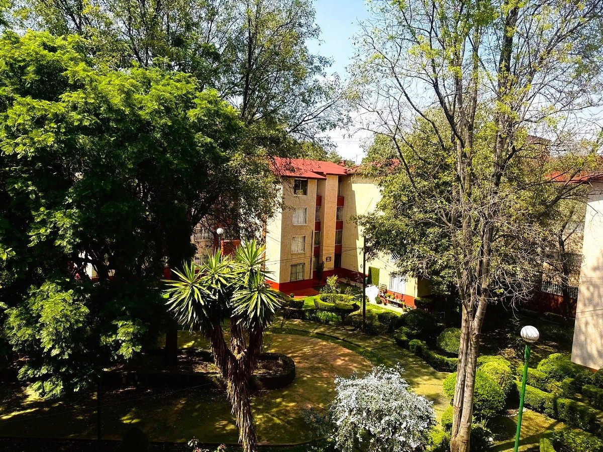 Departamento en Ampliación Fuentes del Pedregal, Tlalpan, foto 9 de 9