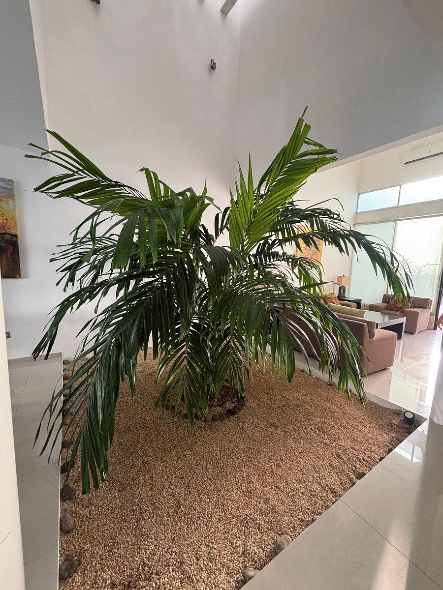 House in Altabrisa, Mérida, photo 4 of 19