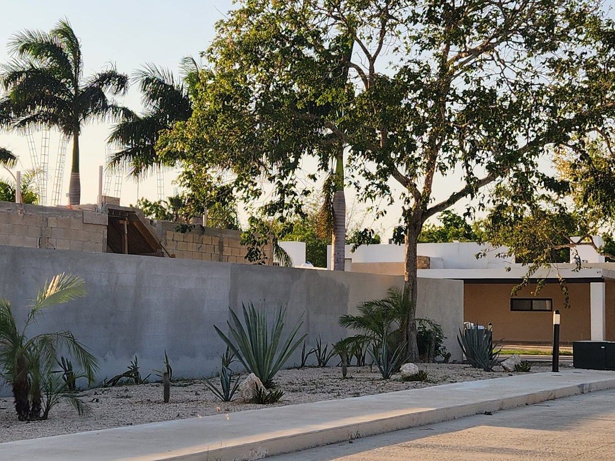 Lote em Tamanché, Mérida, foto 12 de 13