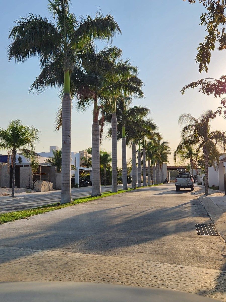 Lote em Tamanché, Mérida, foto 13 de 13