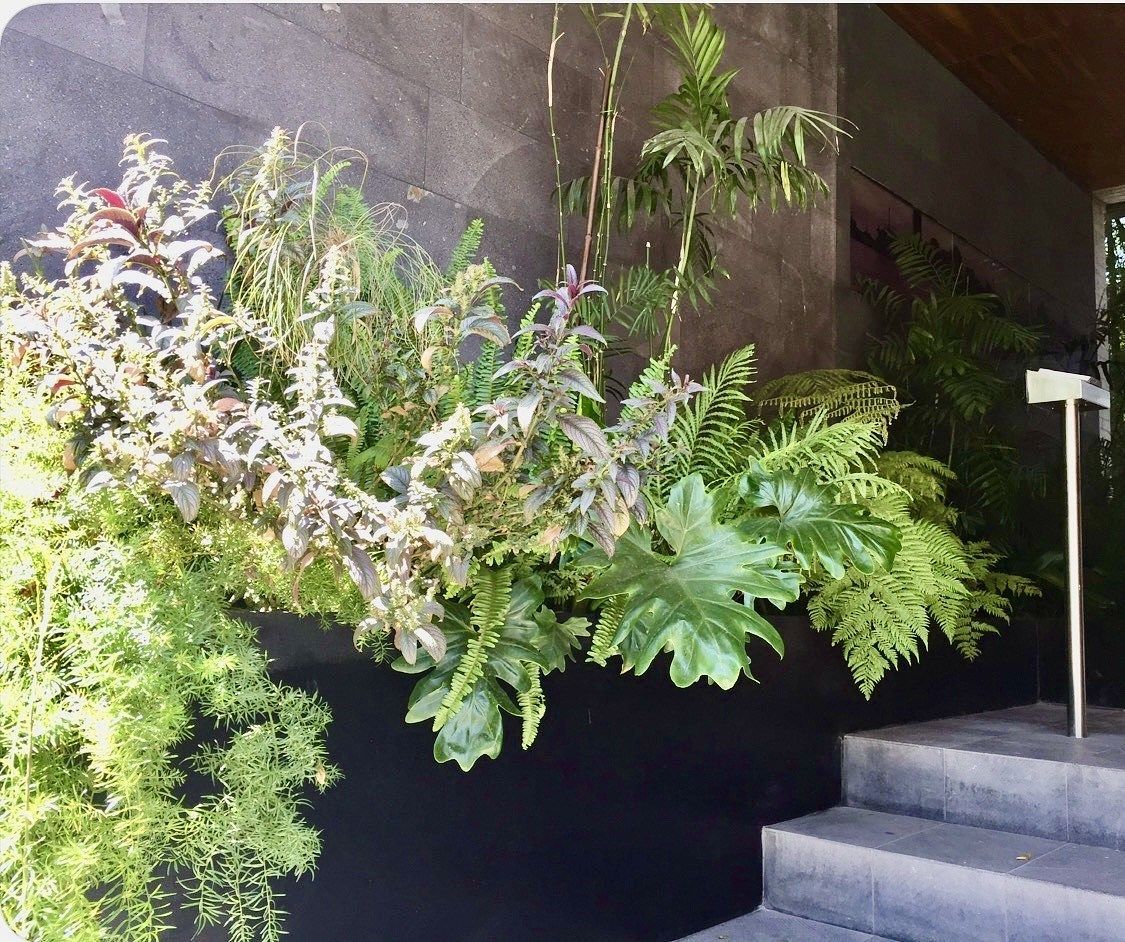 Áreas comunes, foto 5 de 25