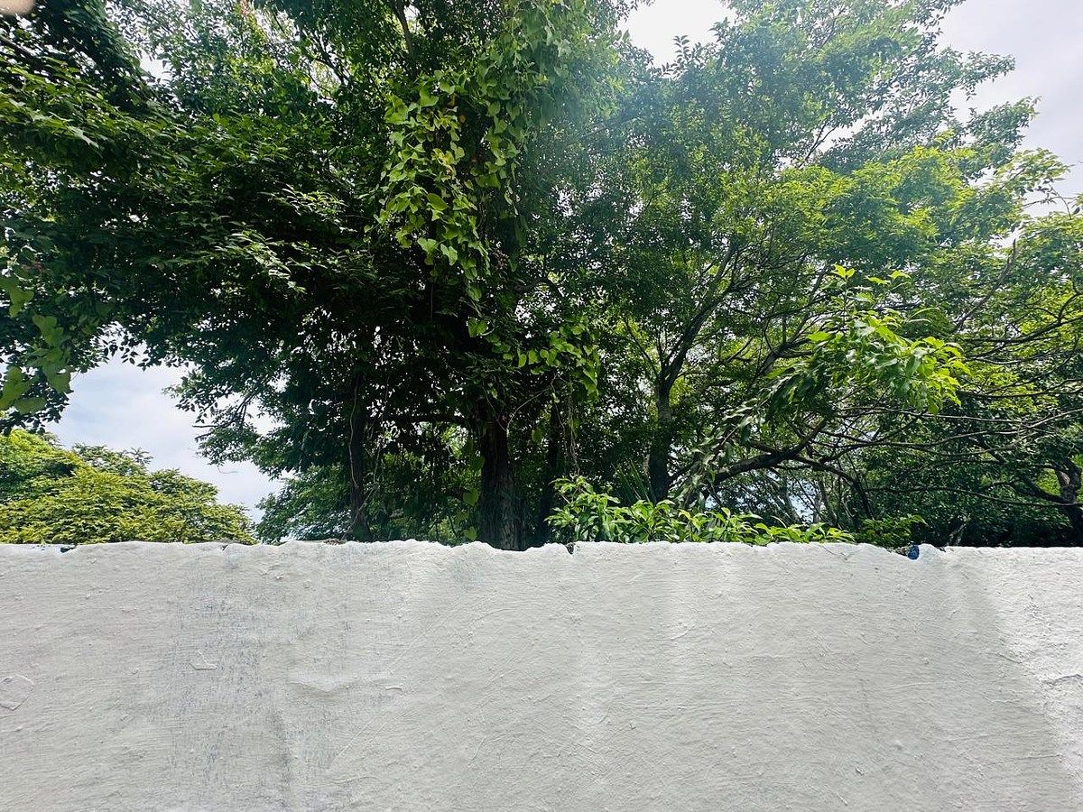Lote em Dolores Patron, Mérida, foto 6 de 12