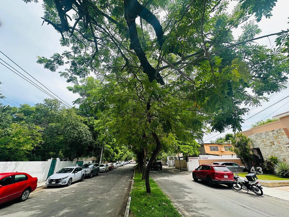 Lote em Dolores Patron, Mérida, foto 7 de 12