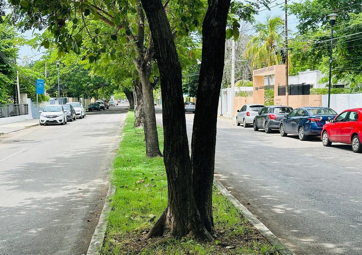 Lote em Dolores Patron, Mérida, foto 8 de 12