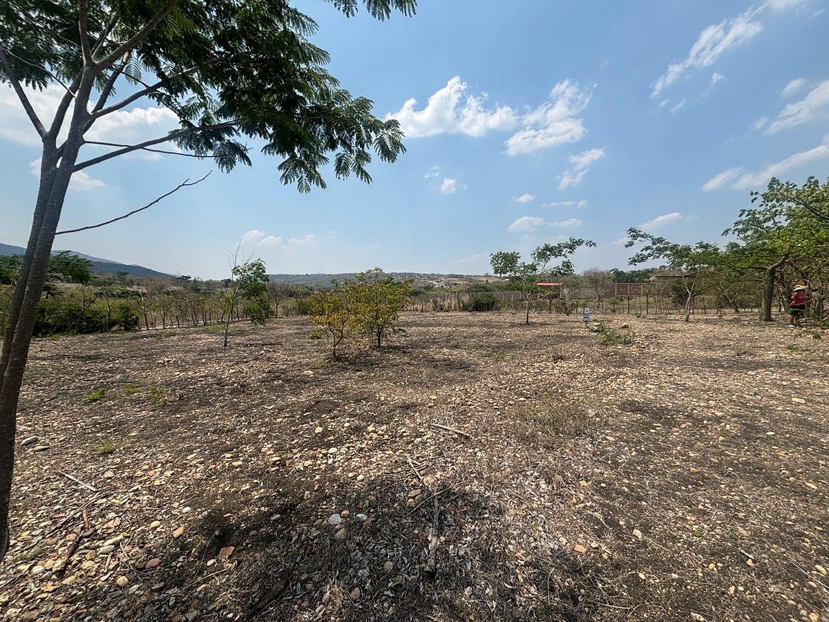 Lot in San Miguel, Berriozábal, photo 3 of 15