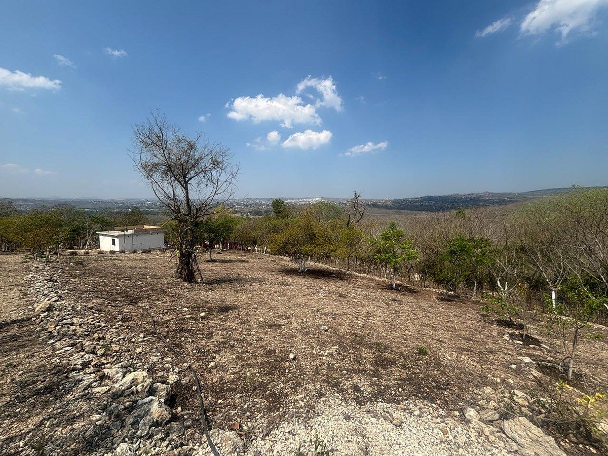 Lot in San Miguel, Berriozábal, photo 8 of 15