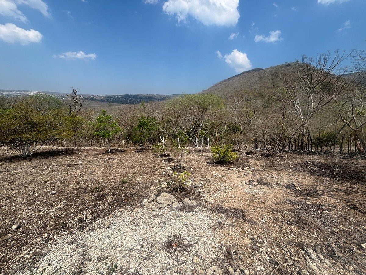 Lot in San Miguel, Berriozábal, photo 7 of 15