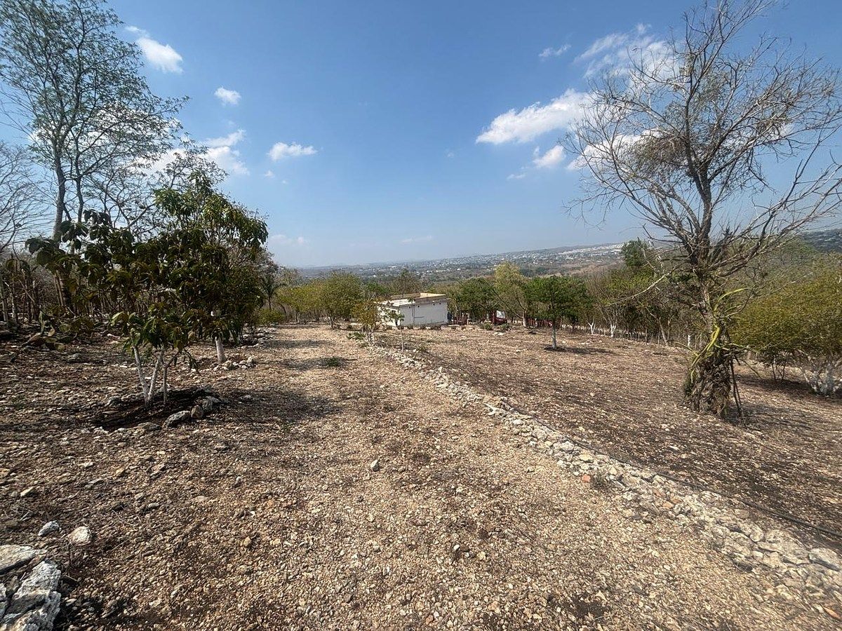Lot in San Miguel, Berriozábal, photo 9 of 15