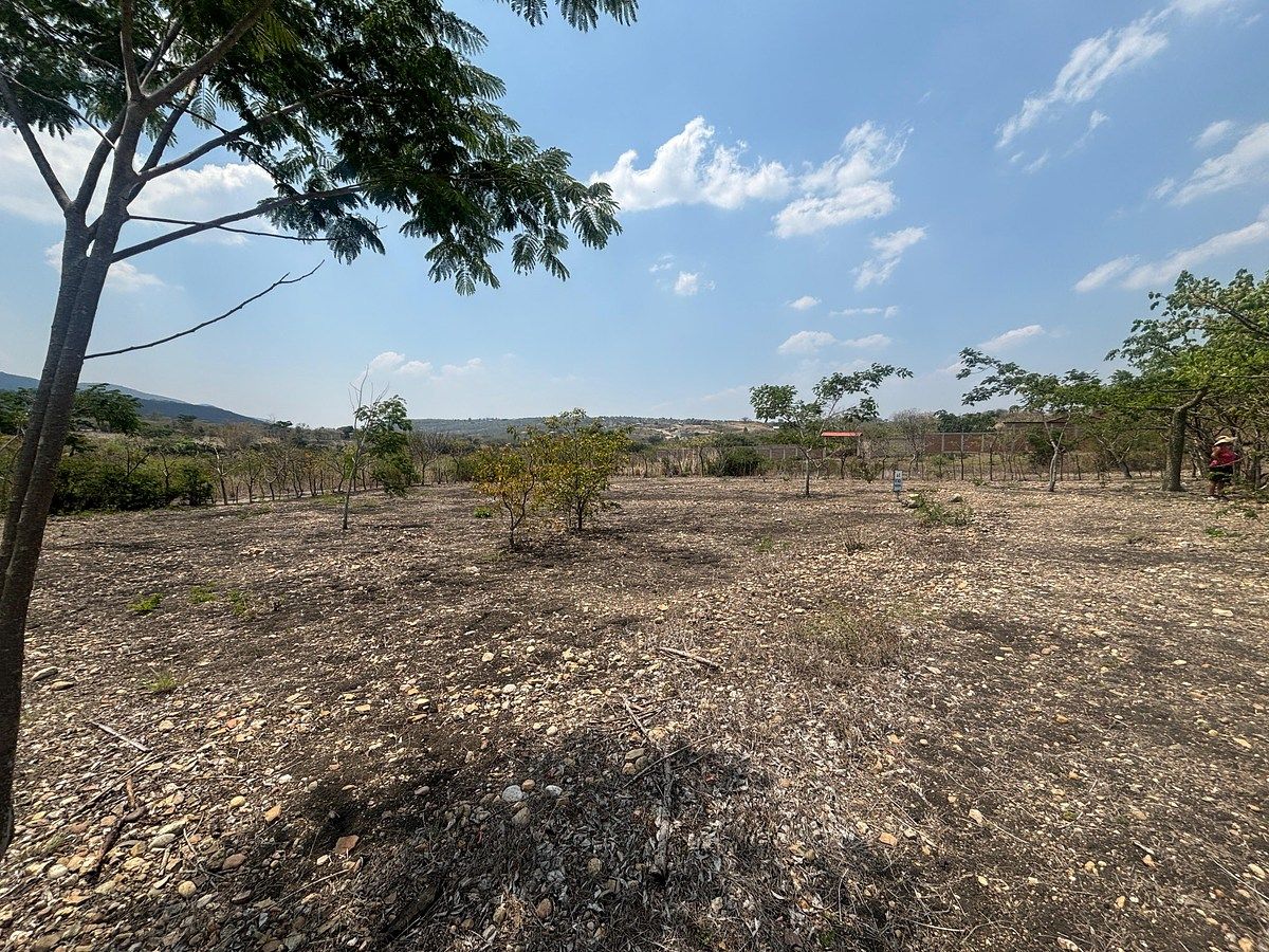 🌿🌳Terreno regular en venta de 40 x 40 en Berriozábal Chiapas, foto 1 de 6