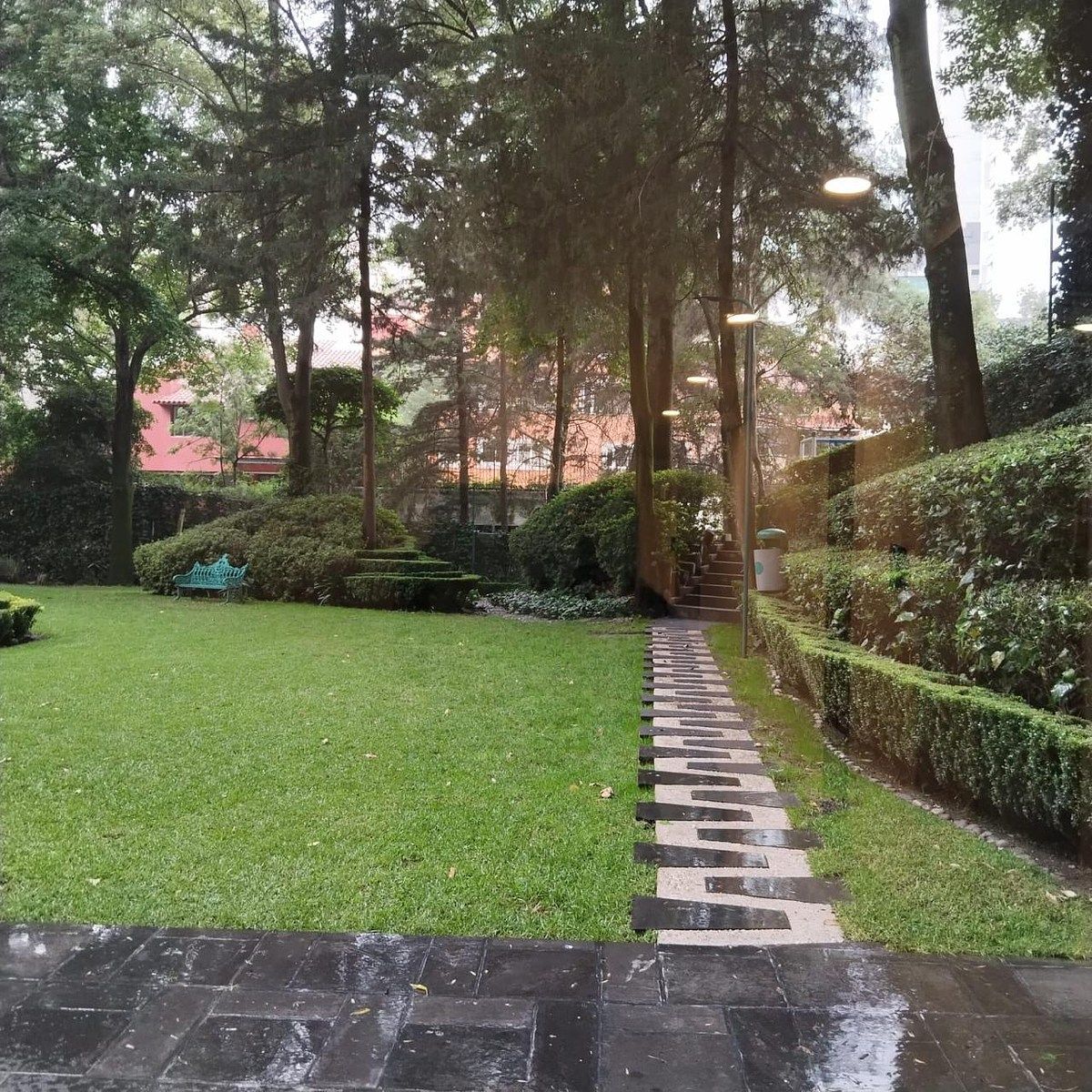 Departamento en Bosques de las Lomas, Cuajimalpa de Morelos, foto 27 de 35