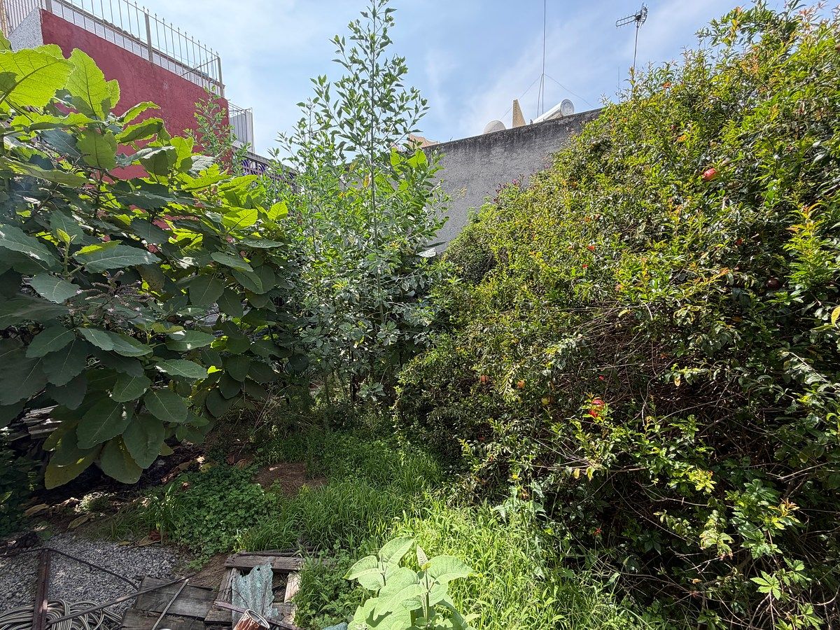 Terreno en Villa de Aragón, Gustavo A. Madero, foto 2 de 4