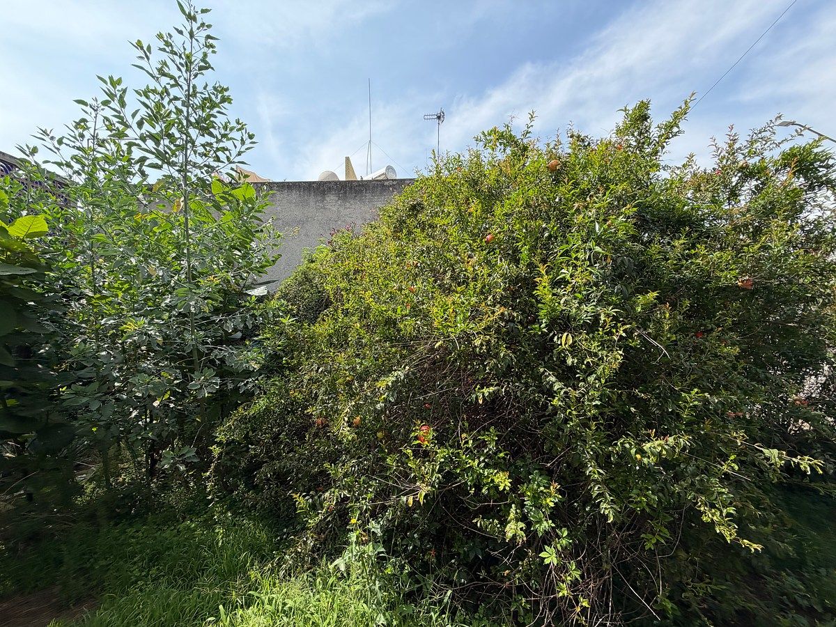 Terreno en Villa de Aragón, Gustavo A. Madero, foto 3 de 4