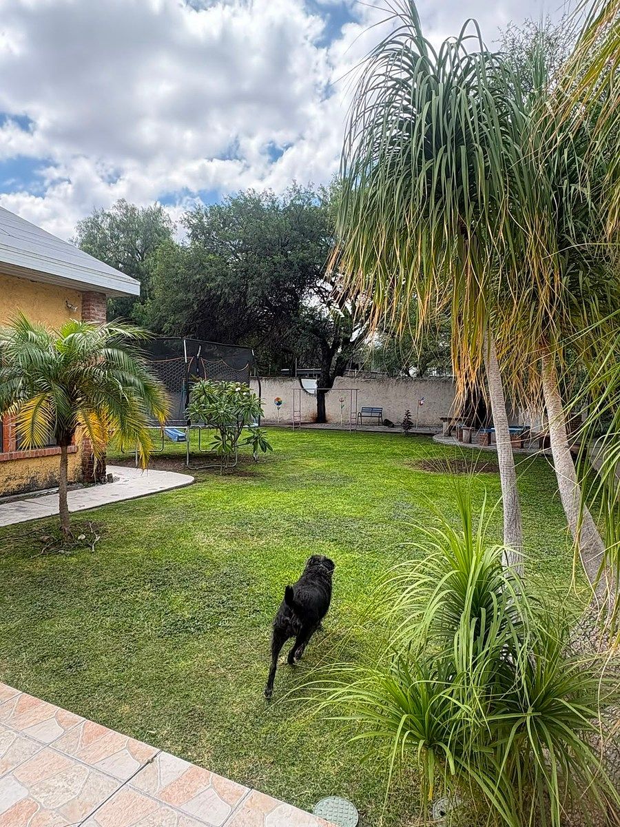 Casa em Jurica, Querétaro, foto 22 de 28