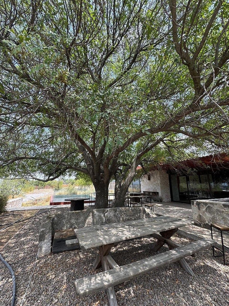 Ranch in Bañe, Aculco, photo 16 of 17
