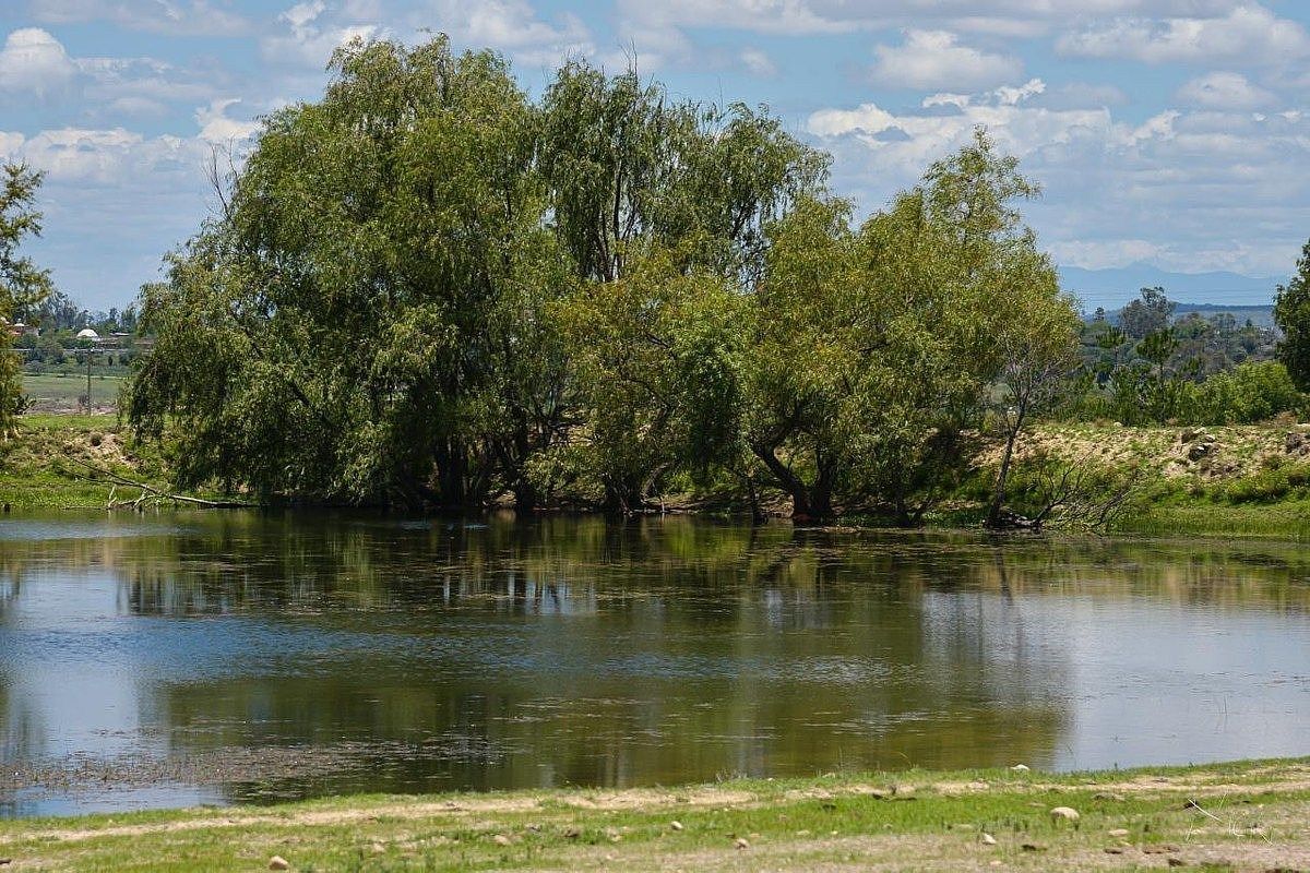 Ranch in Bañe, Aculco, photo 17 of 17