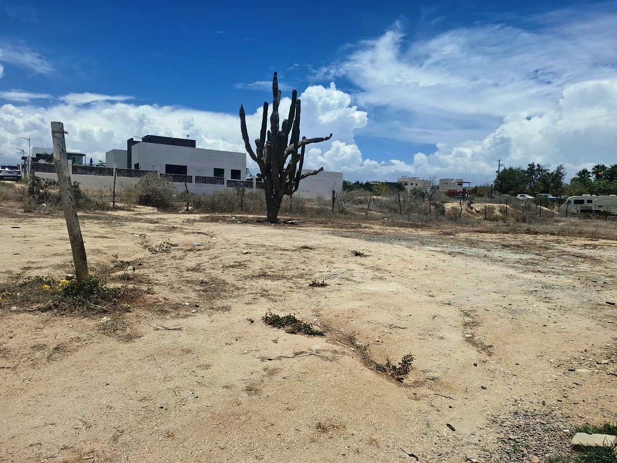 Lote em Vuelo del Águila, Todos Santos, foto 11 de 23
