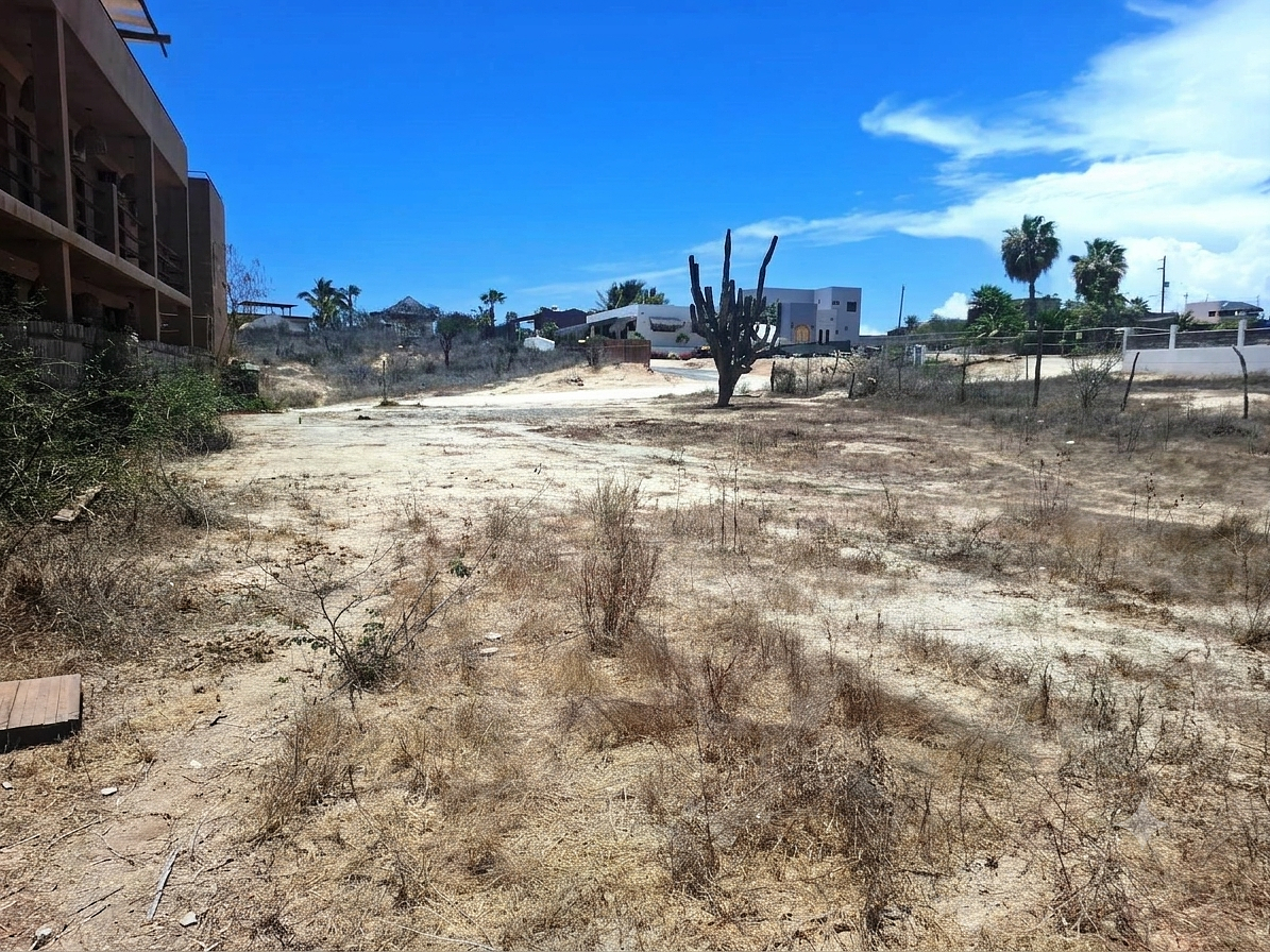 Lote em Vuelo del Águila, Todos Santos, foto 15 de 23