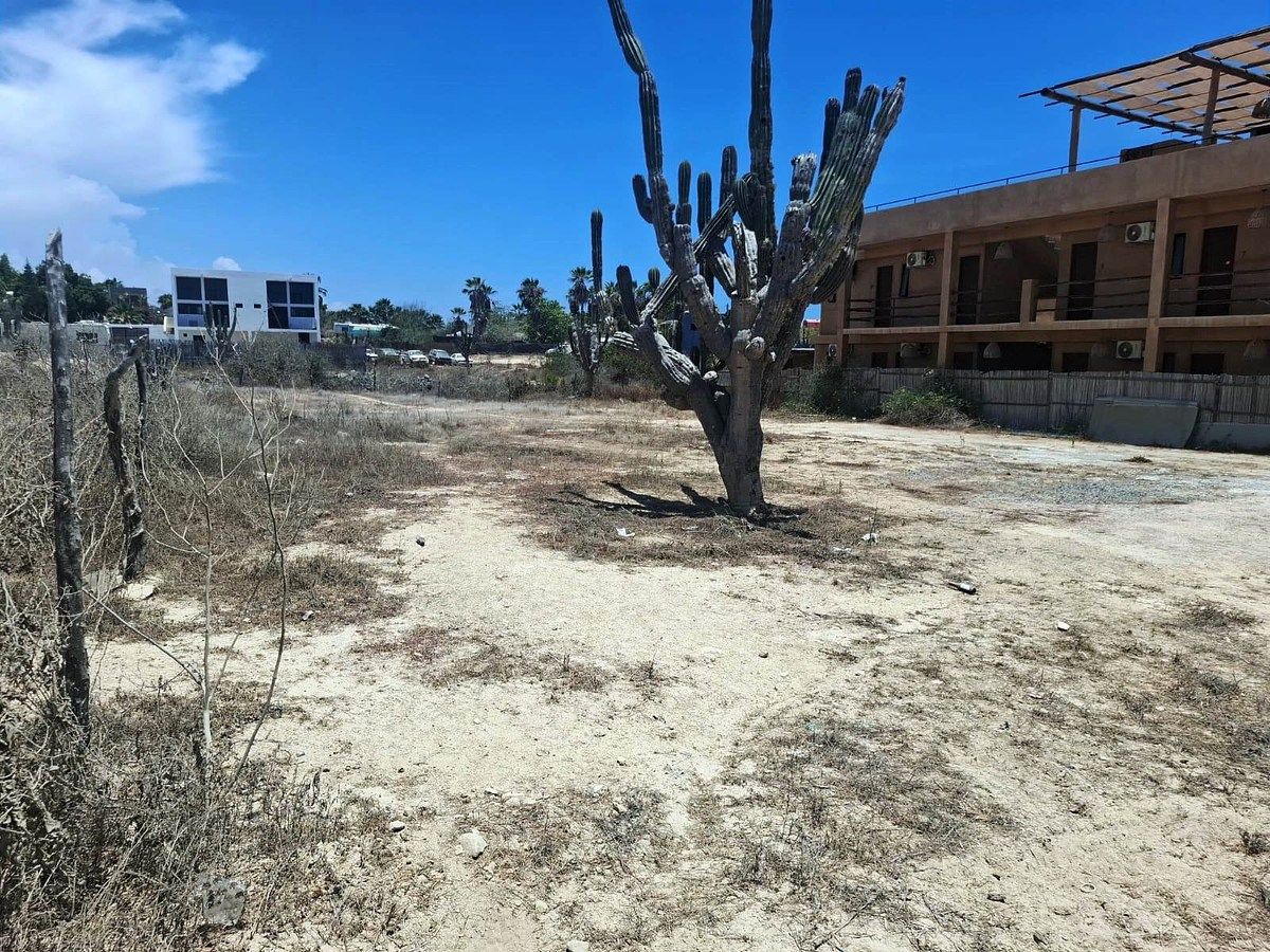Lote em Vuelo del Águila, Todos Santos, foto 20 de 23