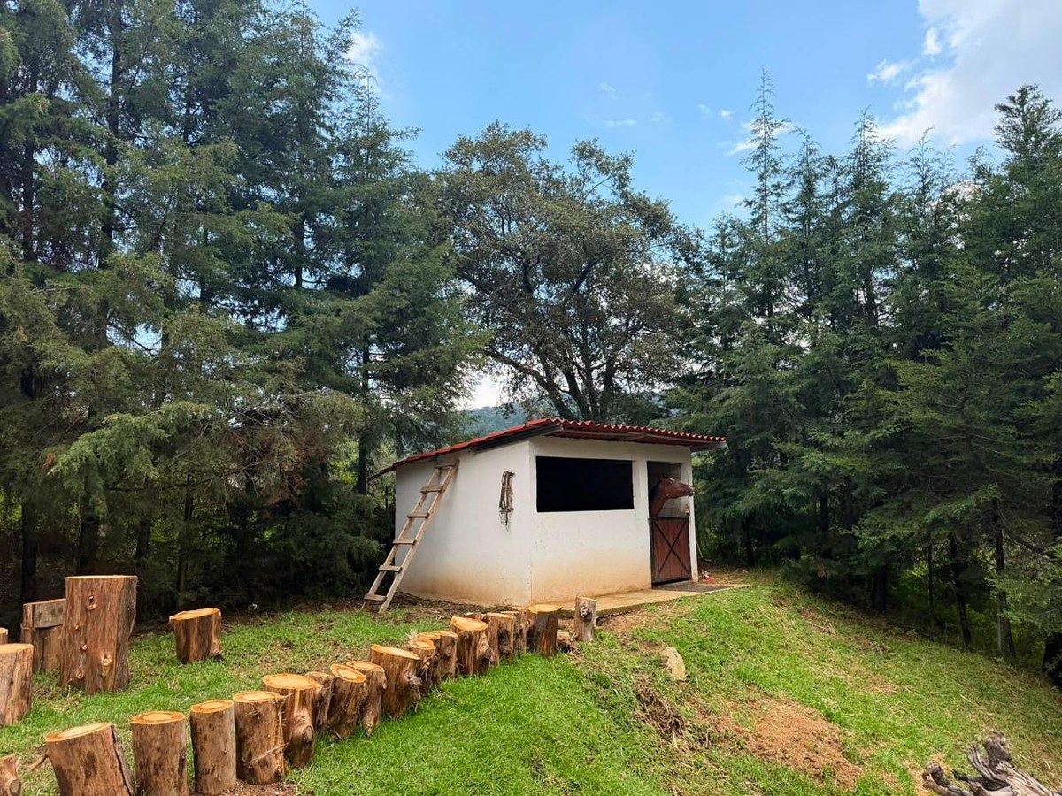 House in Santa María Mazatla, Jilotzingo, photo 3 of 32