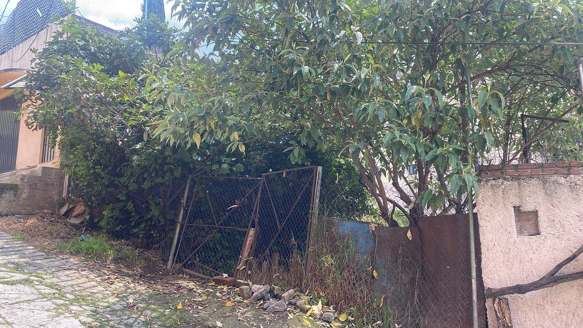 Terreno en Lomas de La Era, Álvaro Obregón, foto 11 de 12