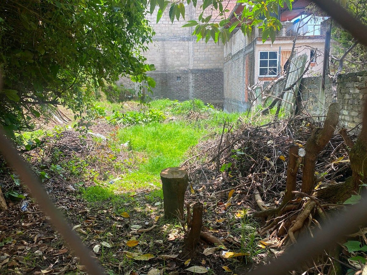 Terreno en Lomas de La Era, Álvaro Obregón, foto 8 de 12