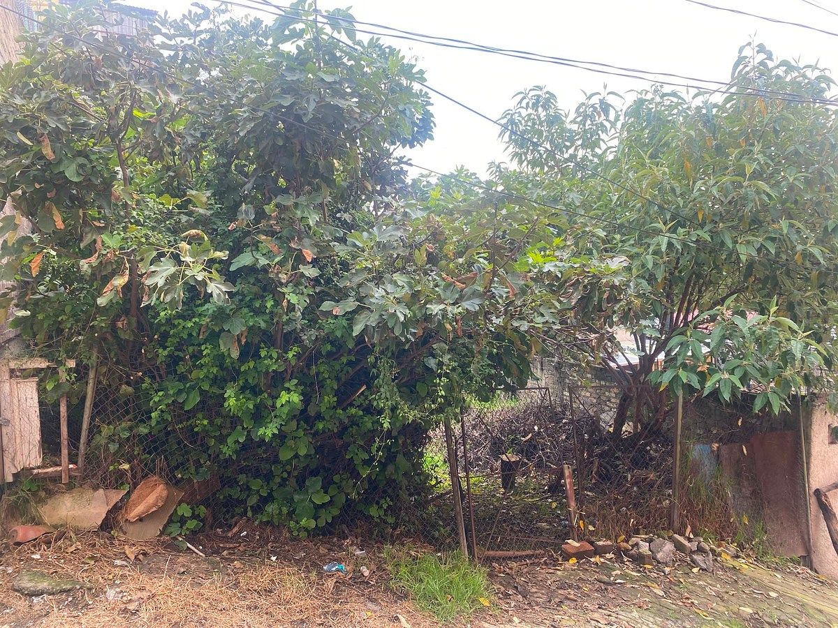 Terreno en Lomas de La Era, Álvaro Obregón, foto 10 de 12