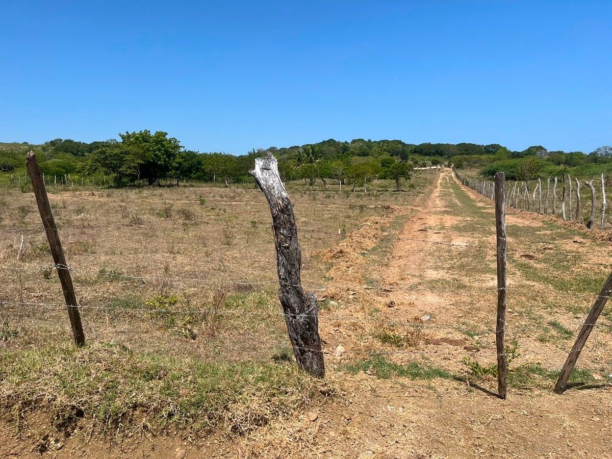 Terreno en Estero Hondo, foto 8 de 11