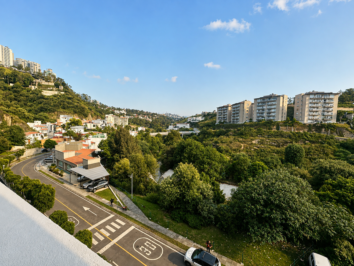 Vista verde, photo 16 of 27