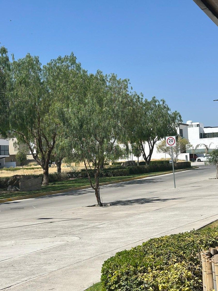 Lot in St Ángelo Residence, Jesús María, photo 7 of 7