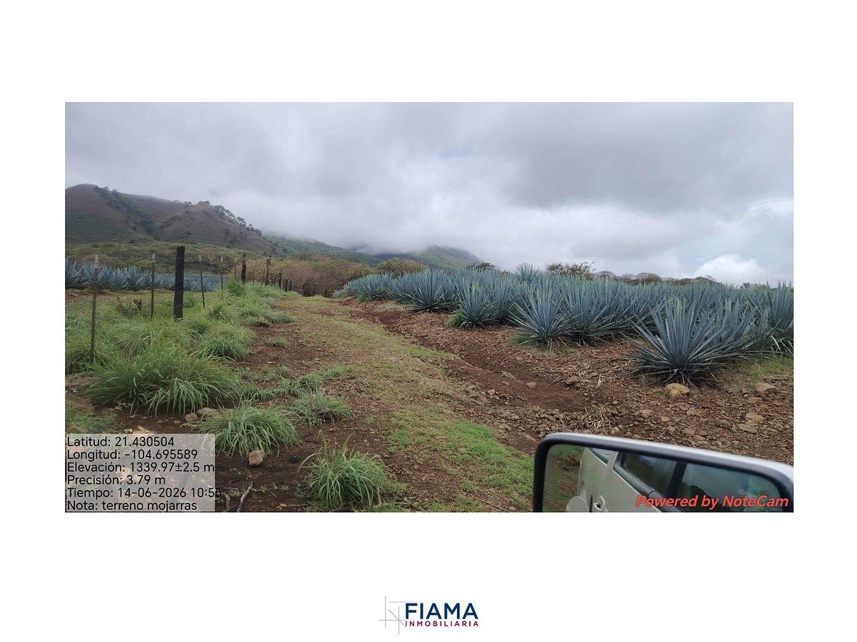 Lote em Santa María del Oro, Santa María del Oro, foto 7 de 16