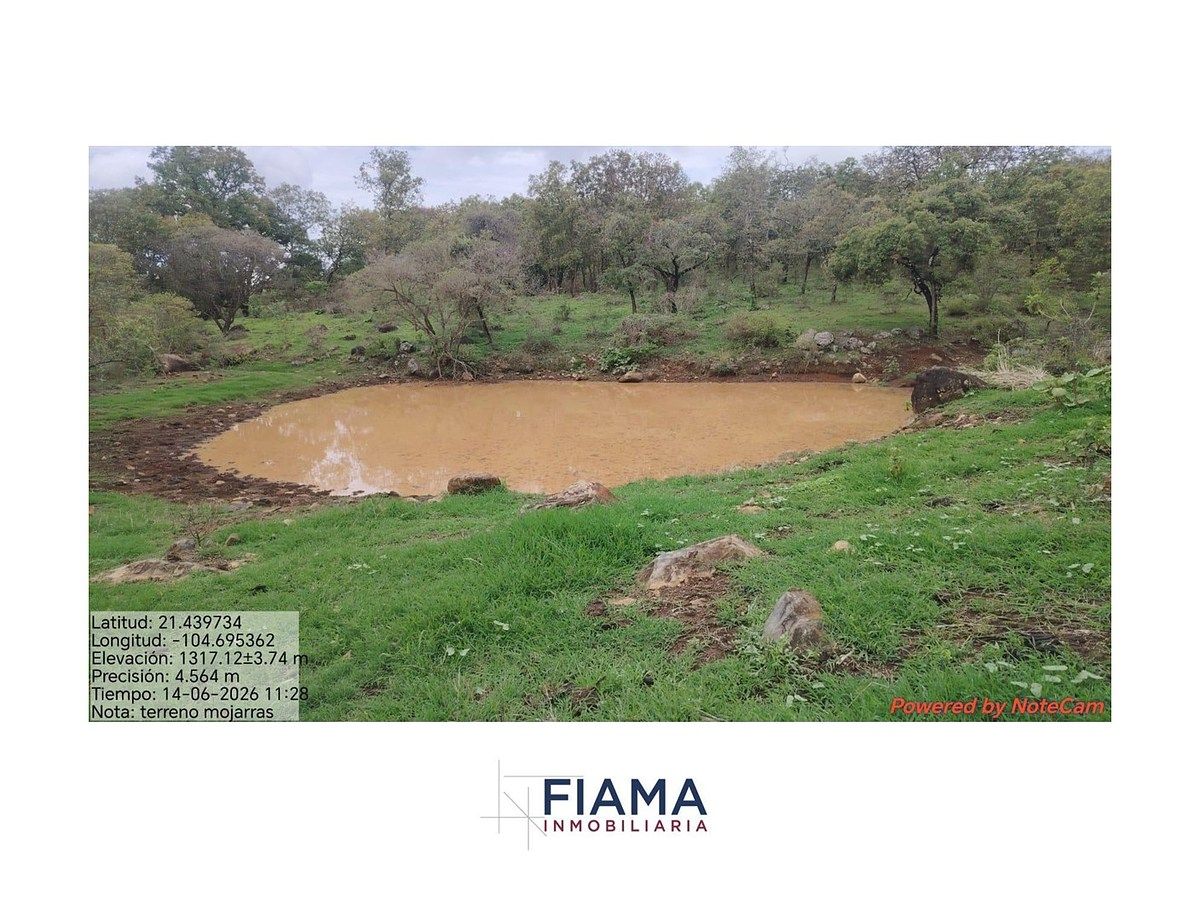 Lote em Santa María del Oro, Santa María del Oro, foto 11 de 16