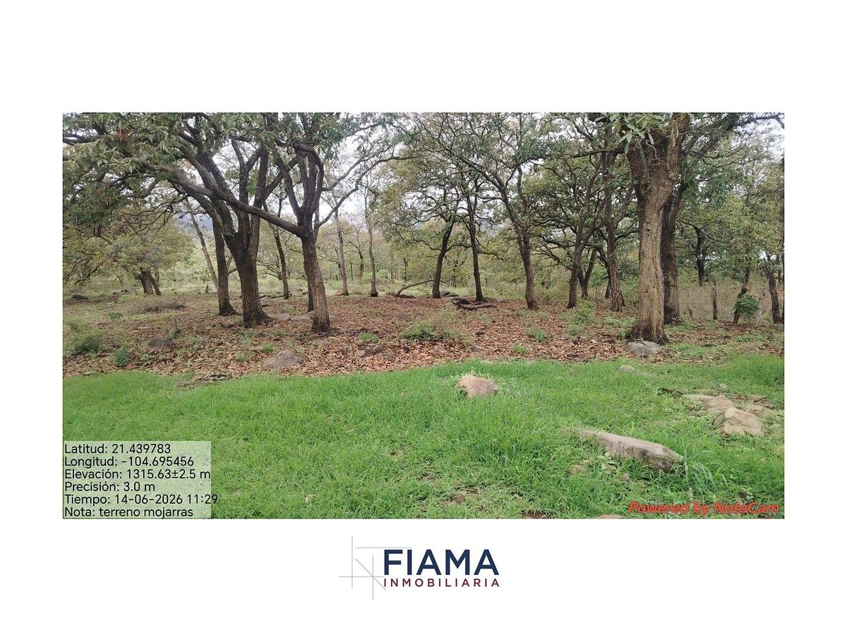 Lote em Santa María del Oro, Santa María del Oro, foto 12 de 16