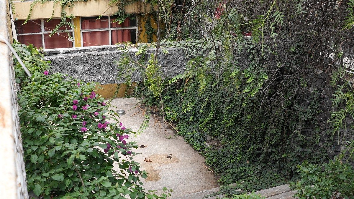 Terreno en Lomas de San Ángel Inn, Álvaro Obregón, foto 12 de 15