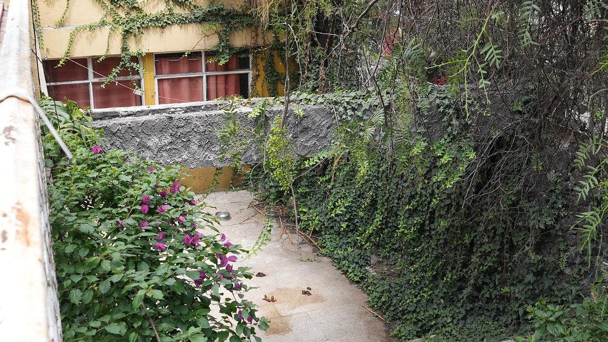Terreno en Lomas de San Ángel Inn, Álvaro Obregón, foto 13 de 15